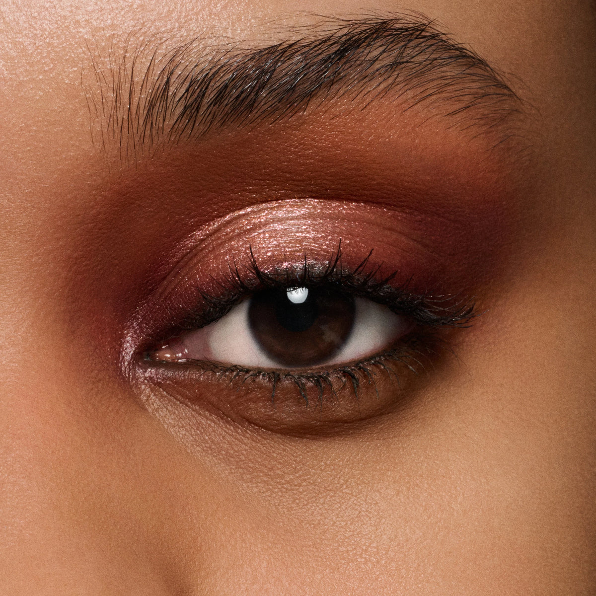 Eye Shadow Palette x4 / Sepia Collection