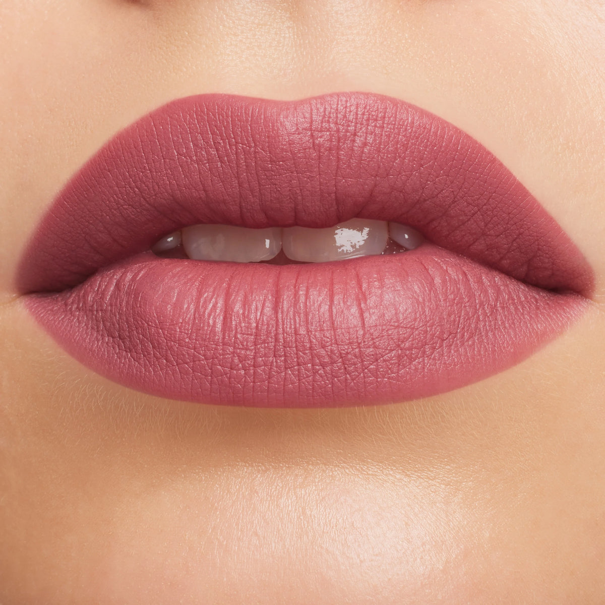 M·A·Cximal Silky Matte Lipstick / Sepia Collection